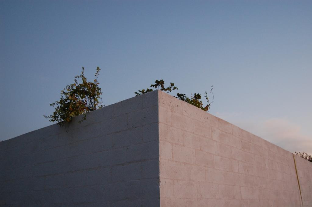 Bed and Breakfast Calcebianca Ostuni Exterior foto